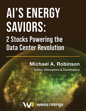 AI's Energy Saviors: 2 Stocks Powering the Data Center Revolution